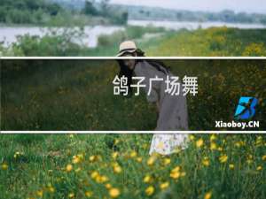 鸽子广场舞