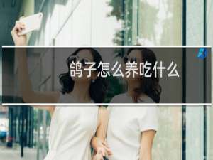 鸽子怎么养吃什么