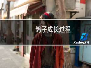 鸽子成长过程