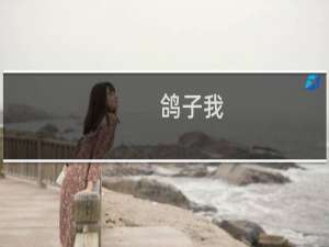 鸽子我