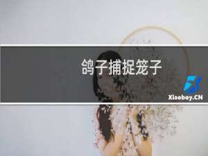 鸽子捕捉笼子