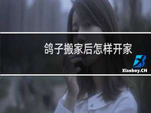 鸽子搬家后怎样开家