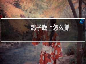 鸽子晚上怎么抓