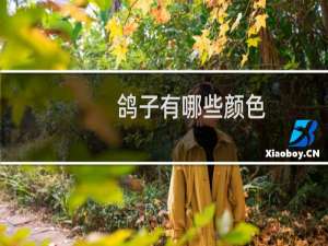 鸽子有哪些颜色