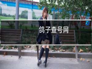 鸽子查号网