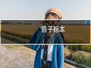鸽子标本
