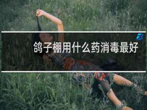 鸽子棚用什么药消毒最好