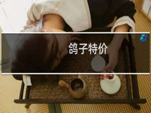 鸽子特价
