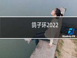 鸽子环2022