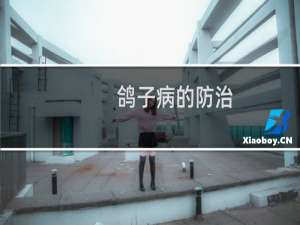 鸽子病的防治