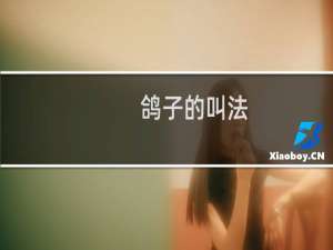 鸽子的叫法