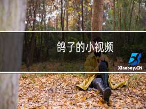 鸽子的小视频