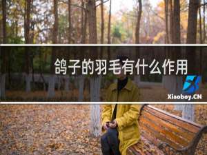 鸽子的羽毛有什么作用