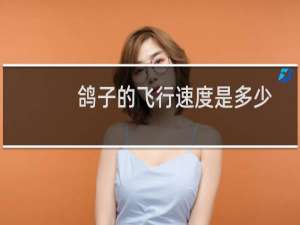 鸽子的飞行速度是多少
