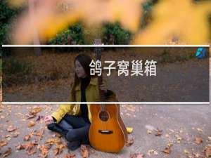 鸽子窝巢箱