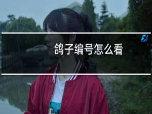 鸽子编号怎么看