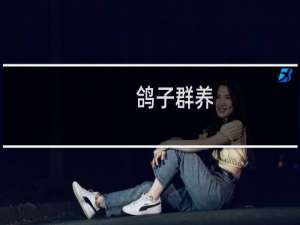 鸽子群养