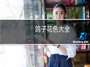 鸽子花色大全