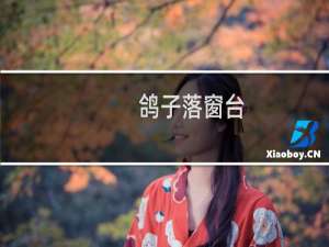 鸽子落窗台