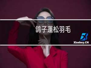鸽子蓬松羽毛