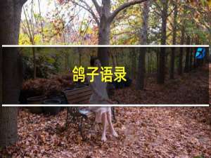 鸽子语录
