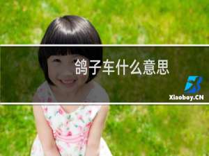 鸽子车什么意思