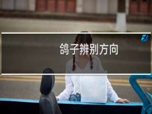 鸽子辨别方向