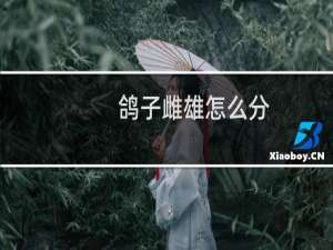 鸽子雌雄怎么分