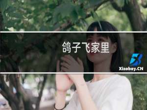 鸽子飞家里