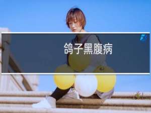 鸽子黑腹病