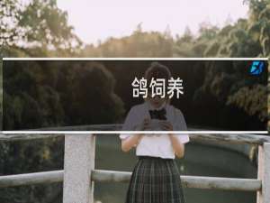 鸽饲养