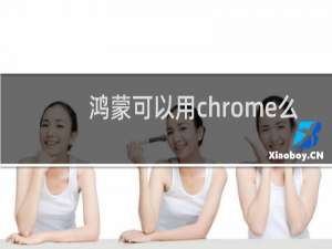 鸿蒙可以用chrome么