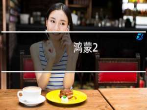 鸿蒙2.0支持安卓软件吗