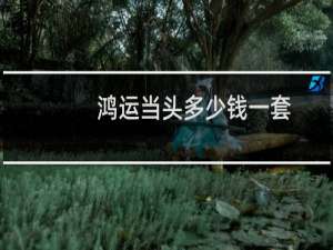鸿运当头多少钱一套