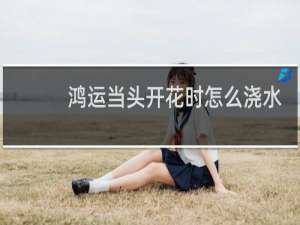 鸿运当头开花时怎么浇水