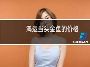 鸿运当头金鱼的价格