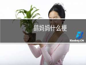 鹅妈妈什么梗