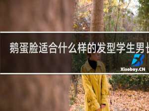 鹅蛋脸适合什么样的发型学生男长发