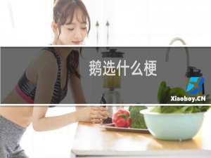 鹅选什么梗