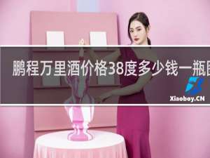鹏程万里酒价格38度多少钱一瓶图片