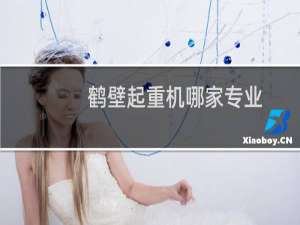 鹤壁起重机哪家专业