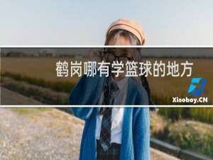 鹤岗哪有学篮球的地方