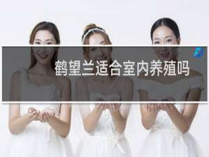 鹤望兰适合室内养殖吗