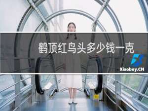 鹤顶红鸟头多少钱一克