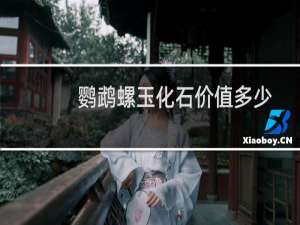 鹦鹉螺玉化石价值多少