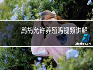 鹧鸪允许养殖吗视频讲解