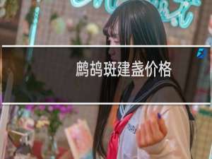 鹧鸪斑建盏价格