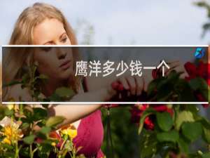 鹰洋多少钱一个