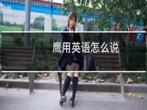 鹰用英语怎么说