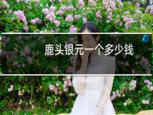 鹿头银元一个多少钱